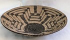 Fine Native American Indian Pima Basket Tray Squash Design 1920