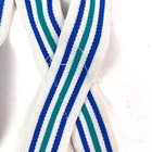 Vintage Blue Green Striped Boys Elastic Adjustable Suspenders