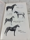 Vintage Horses Carnation Milling Feeds Booklet Horse Breeds Care Feeding 1978