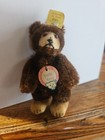 Minty 1950 s Steiff Teddy Baby Bear With All I d  3 1 2 