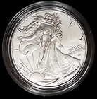 2021-w  1 American Eagle 1 Oz Silver 999 Uncirculated Coin U s  Mint