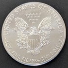 2011 Walking Liberty American Eagle  999 Fine Silver Dollar Coin 1oz   1 Usa