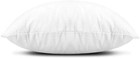 Edow Throw Pillow Inserts  Set Of 2 Lightweight Down 18x18 Inch  White