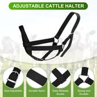 2-pack Adjustable Nylon Cattle Cow Halter  19 68 -23 62   black 
