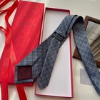 Ferragamo Tie Authentic
