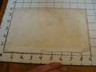 Vintage Print  Short Horned Cow Bred By Thomas Robinson Esq 1848 W  H Davis Prin