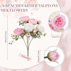 8 Bundles Silk Peony Flowers For Wedding Party D  cor - White   Pink