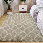 Indoor Shaggy Area Rug Soft Shag Carpet For Bedroom Living Room Big Area Rugs