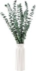 10 Pcs Dried Eucalyptus Stems 17  Real For Shower 10 Pcs  10 