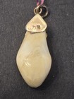 Vintage Elks Lodge Memorabilia - 10k Gold Elks Tooth Pendant 1    Long Antique Htf
