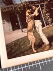 1960s Man Dancing W  Great Dane Dog Pet Vtg Color Snapshot Photo