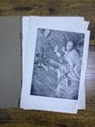 The Absolute Truth- Death   Atrocities Of Wwi Photos Soldiers Lying Dead Graphic