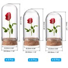24pcs Cloche Glass Dome Glass Bell Jar Display Case With Cork Base 1 57x1 18inch