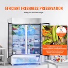 54  Commercial Reach In Refrigerator Upright Refrigerator Solid 2 Doors Cooler