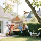 Bird Feeders House For Outdoors Hanging large Capacity Metal Wild