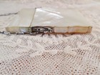Antique Victorian Ornate Carved Mother Of Pearl Calling Card Case