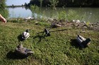 Show Me Ducks Deekdiver 2 0 12v Decoy Motion Machine