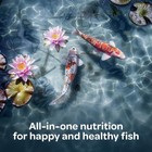 Kaytee Koi   s Choice Koi Floating Fish Food  For Koi  Goldfish And Pond Fish  3
