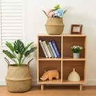 Seagrass Belly Basket  Set Of 2 Woven Plant Pot Holder Handmade Home Decor