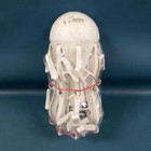 New sealed Ikea Pressa Octopus Hanging Clothes Hanger dryer 16 Clips 801 896 63