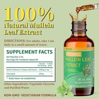 Letscol Organic Mullein Drops For Lung Cleanse  Powerful 2 Fl Oz  pack Of 1  