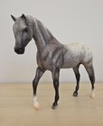 Breyer Traditional Model Horse Thunderbolt Grey Appaloosa  701718 Rare 1 2900