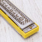 New Hohner Signature Series  Harp Harmonica Key Of C