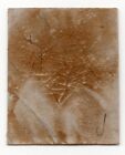 British Canada 1864 Sg45a Imperf Thick Paper - Used