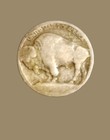 Buffalo Nickles Coin