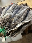 Tanned Raccoon Hide Small Split Open Pelt Fur Green Tag
