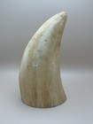Scrimshaw Reproduction 1821 Sperm Whale Sailing Ship  7 5   