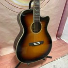 Takamine Acoustic Guitar Vintage Sunburst 20 Frets Spruce Top Advanced Sound