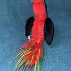 Ty Beanie Baby Frills Rainbow Parrot Stuffed Animal Plush Toy New