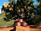   3 Red Rock Sedona Vortex Pucks -  Orgonite   Tower Busters - Orgone Generator   