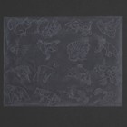 Craftaid Plastic Animal Template 3 4  75001-00 By Tandy Leather