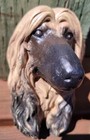 Vintage Afghan Hound Face Hanging Figurine  Chalkware Plaster 