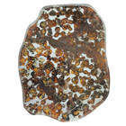 90 8g Sericho Pallasite Meteorite Slice - From Kenya Ta110