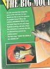 Vintage The Big Mouth Rainbow Trout Singing Animated Fish 2000  new 