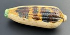 Antique William Foust   Sons Distillery Ceramic Corn Whiskey Flask Yellow Husk