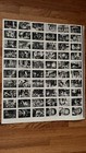 Three Stooges Uncut Sheet 1989 Series Red Back Pre Owned