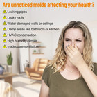 Mold Test Kit For Home Testing  6 Counts Diy At Home Mold Test For Air Quality O