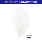 30 Pcs 8-10 Inch  20-25 Cm Natural Ostrich Feathers Bulk   white 