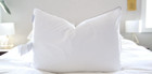 Indulgence By Isotonic Synthetic Down Pillow