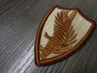 Operation Desert Storm Us Army Centcom Patch Tan Desert Central Command New