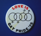 Baltimore Gay Alliance Love Is Gay Pride 1975 Maryland Activist Group Lgbt Gaa