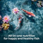 Kaytee Koi s Choice Koi Floating Fish Food 10 Lb Bag