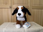 2026 Webkinz Next  Bernese Mtn Dog  W  w  Sealed unused Codes For Next   Classic