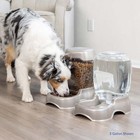 Pet  Gravity Water Bowl Station For Dogs And Cats  3 Gallon  Blue Silver