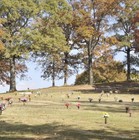 Forest Hills Memorial Gardens  1 Burial Plot Heritage Garden