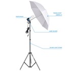 Photography Umbrella Lighting Kit  200w 5500k Photo Portrait Continuous Refle   